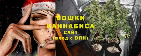 сатива Балабаново