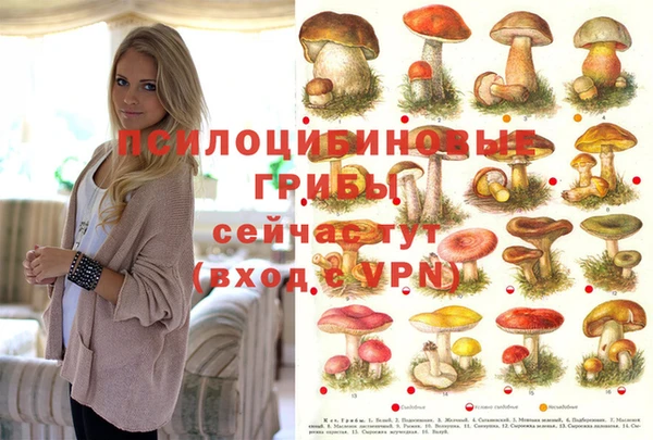бутик Аркадак