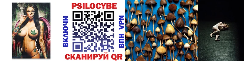Псилоцибиновые грибы Cubensis  сколько стоит  Новоуральск 